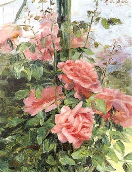 Rosen - view 1
