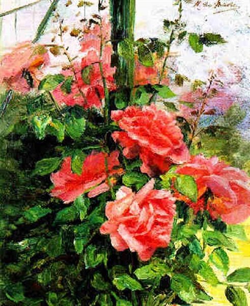 Heckenrosen - view 1
