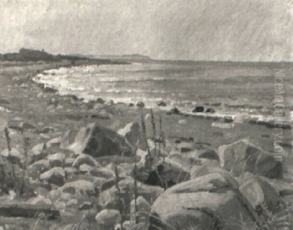 Besonnter Kustenstrich - view 1