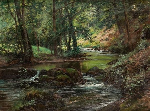 Paisaje Boscoso Con Rio - view 1