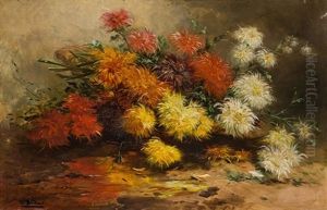 Flores