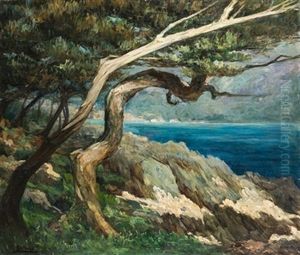 Paisaje Costero Con Arboles
