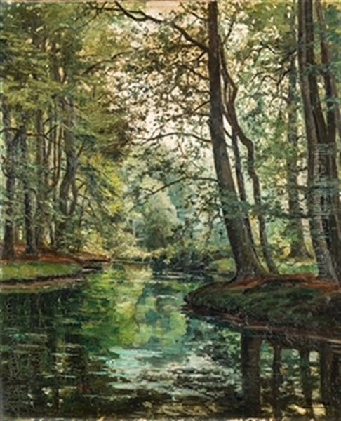 Paisaje Arbolado Con Lago - view 1