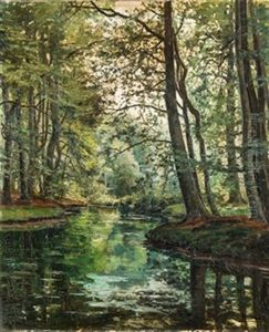 Paisaje Arbolado Con Lago