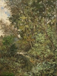 Paisaje Boscoso