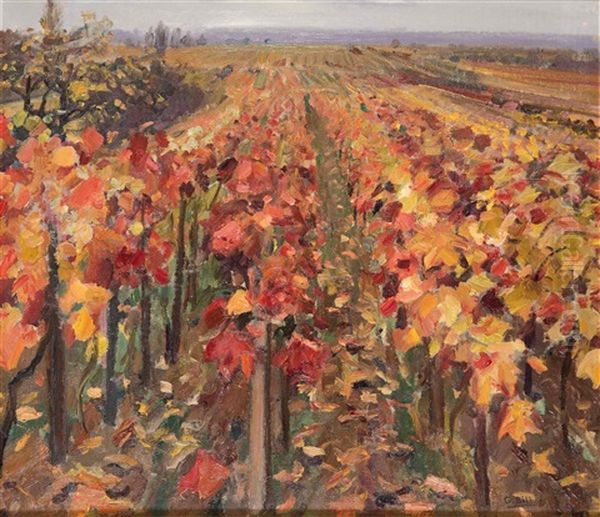 Vinedo - view 1