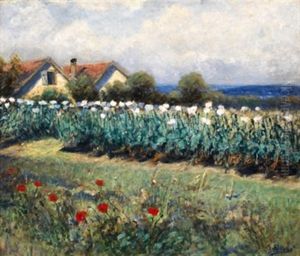 Paisaje Con Amapolas
