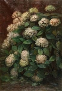 Hortensias Hortensias