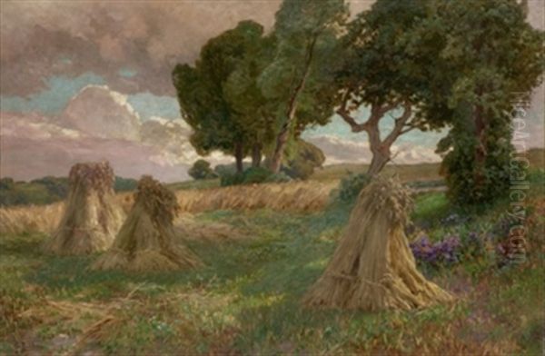 Paisaje Rural (almiares) - view 1