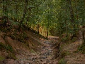 Camino Arbolado by Gonzalo Bilbao Martinez
