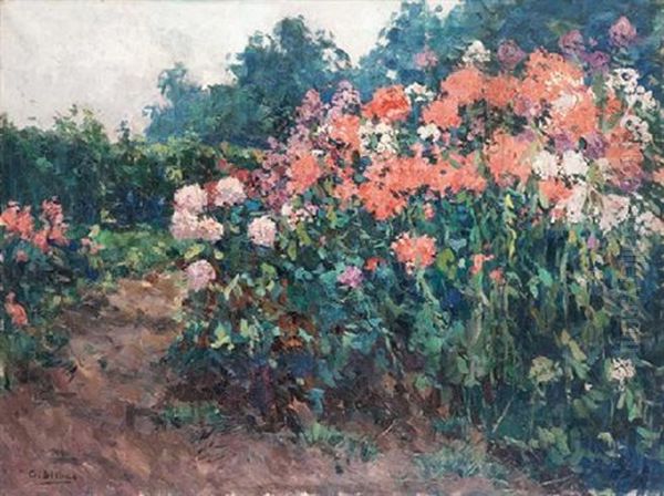 Rosaleda - view 1
