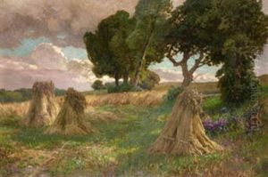 Paisaje Con Arboles