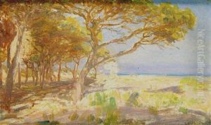 Pinares De Alcala De Guadaira by Gonzalo Bilbao Martinez