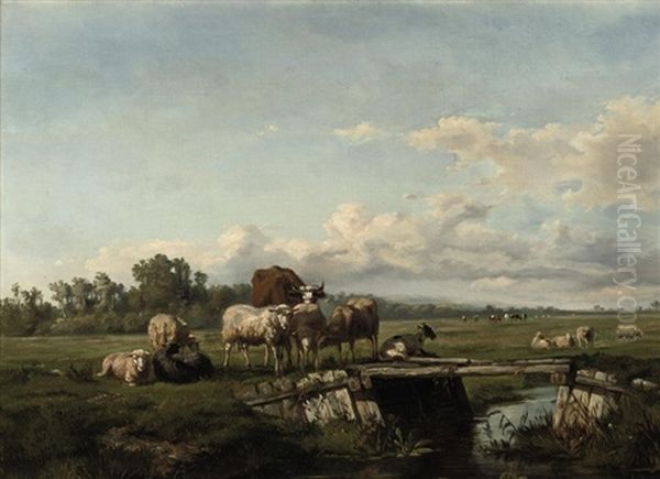 Cattle In The Meadow - view 1