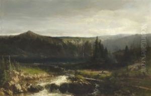 See In Einem Mittelgebirge (schwarzwald?) by Johannes Warnardus Bilders