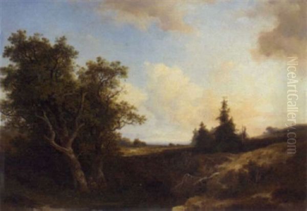 An Extensive Heathland Landscape - view 1