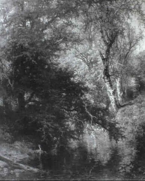 Waldlandschaft Mit Fluss - view 1