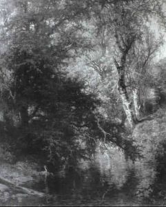 Waldlandschaft Mit Fluss by Johannes Warnardus Bilders