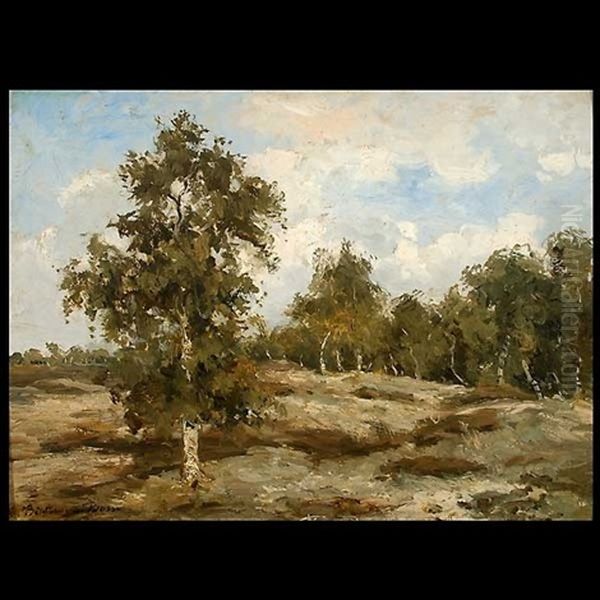 Landscape - view 1