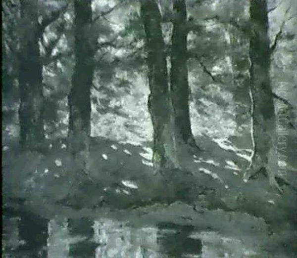Waldlandschaft Am Ufer Eines Flusses - view 1
