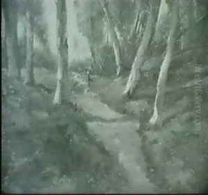 Waldlandschaft Mit Frau Auf Einem Birkenweg