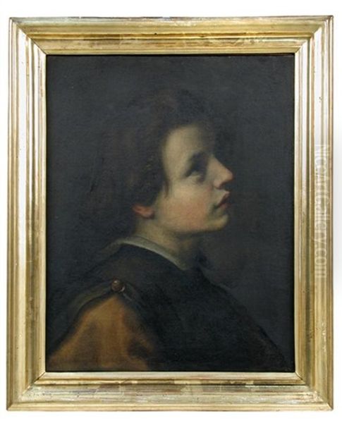 Head Of A Youth In Profile Looking Upwards And To The Right - view 1