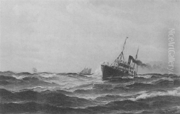 Single Screw Steam Vessel In A Choppy Sea - view 1