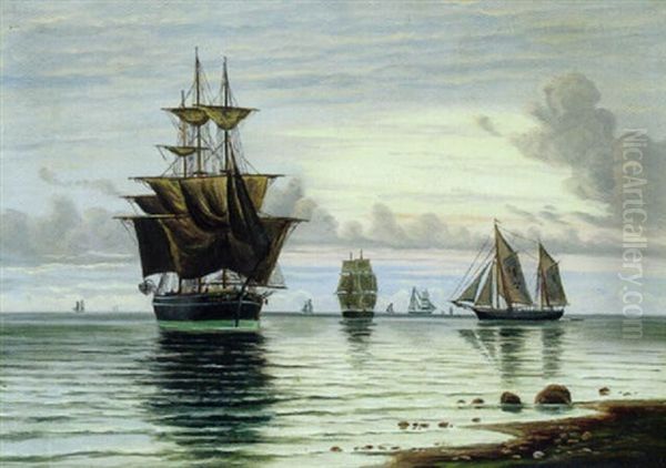 Marine Med Skibe Udfor Kysten - view 1