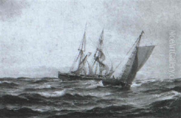 Marine Med Skibe Pa Havet - view 1