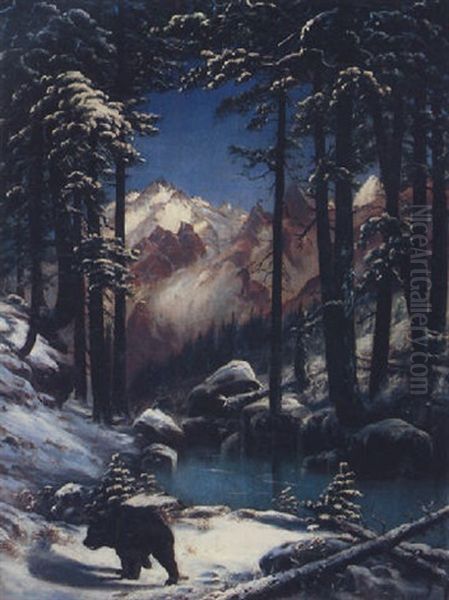 A Bear Near The Grand Tetons - view 1