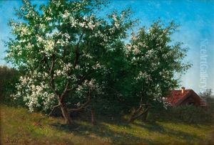 Fruit-tree In Bloom by Lars Theodor Billing