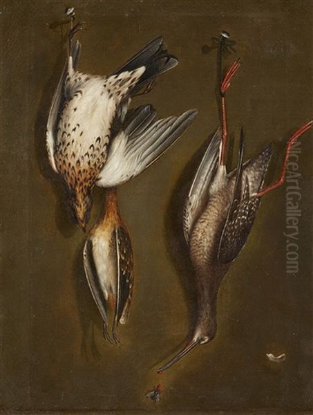 Trompe L'oeil With Birds - view 1