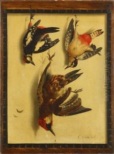 Trompe-l'oeil Mit Drei Beutevogeln