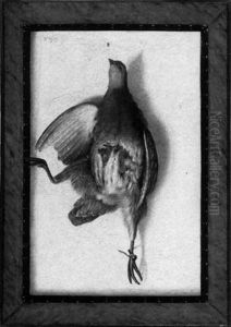 A Still Life Of A Dead Bird