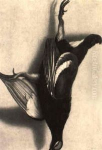 Trompe L'oeil Of A Black Grouse And A Pheasant Hanging From Nails Trompe L'oeil Of A Black Grouse And A Pheasant Hanging From Nails