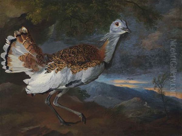 A Great Bustard Before A Hilly Landscape At Dusk - view 1
