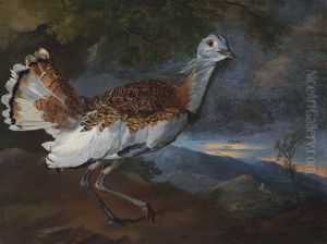 A Great Bustard Before A Hilly Landscape At Dusk