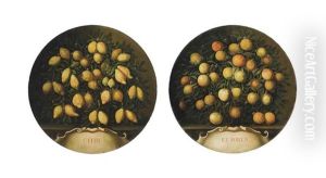 Citri Et Aurea: A Still Life Of Lemons; And A Still Life Of Oranges (pair)