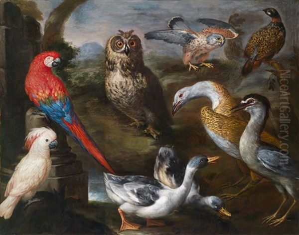 Exotische Vogel In Den Volieren Grosherzog Cosimos Iii. Von Toskana: Enten, Eine Eule, Ein Falke Und Zwei Papageien In Einer Weiten Landschaft - view 1