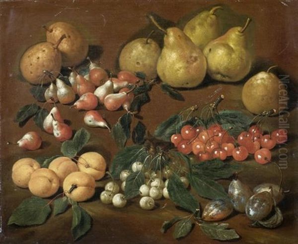 Gruppe Von Fruchten: Birnen, Aprikosen, Kirschen Und Pflaumen - view 1