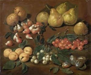 Gruppe Von Fruchten: Birnen, Aprikosen, Kirschen Und Pflaumen by Bartolommeo Bimbi