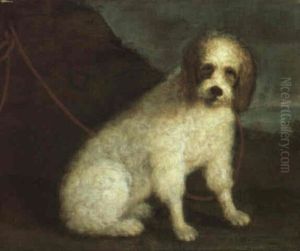 Cane Entro Paesaggio Boscoso Cane Entro Paesaggio Boscoso