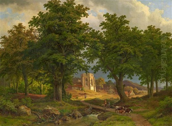 Weite Bewaldete Landschaft Im Abendlicht - view 1
