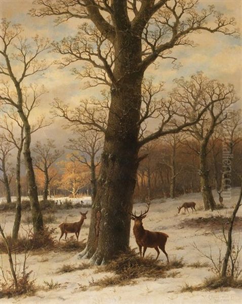 Rehwild In Winterlicher Landschaft - view 1
