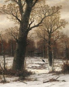 Eichen Im Winterwald