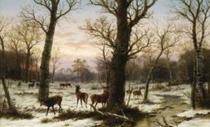 Winterwald Mit Rotwild  In Der Dammerung
