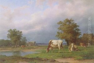 Niederrheinische Landschaft Mit Kuhen