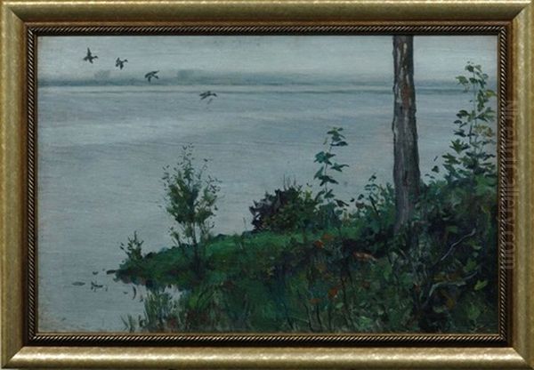 On The River (daugava) - view 1