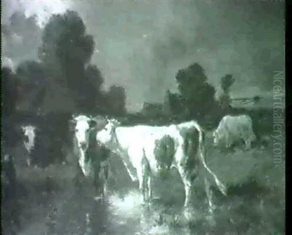 Cows Watering - view 1