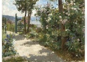 Back Garden With Flowers